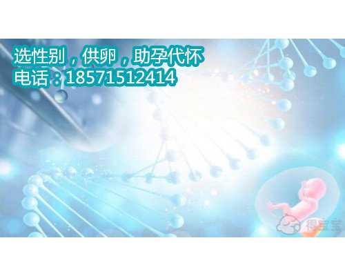 贵阳供卵市场地址 为您带来健康活力的新生命