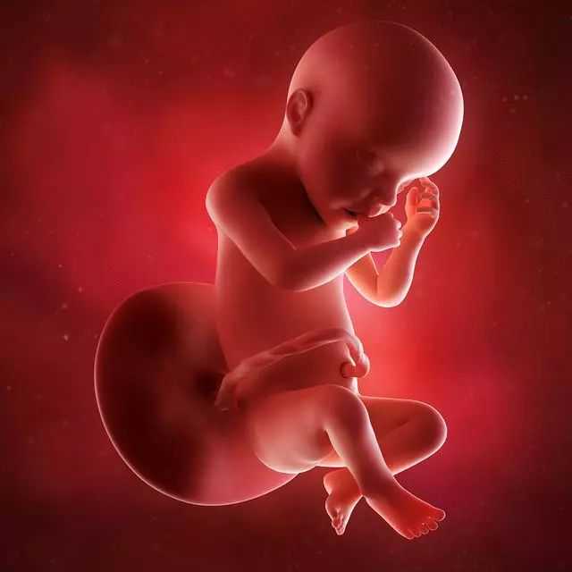 贵阳代生婴儿,试管供卵代怀生子的七大优势