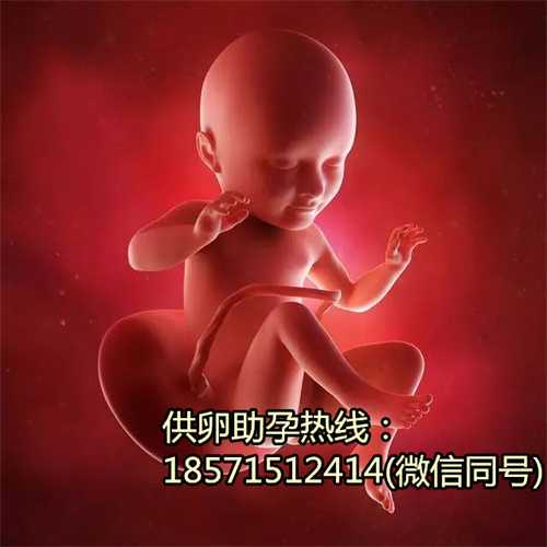 贵阳代生小孩,试管代怀公司为您的幸福添翼